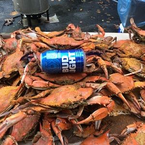 Meet your Posher, Dave